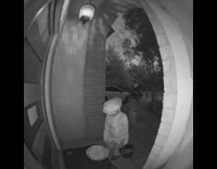 Kids Ignore Cookies Left Outside as Treats for Halloween