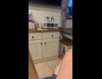 Dog jumps like in a trampoline randomly