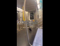 Collab NewYorkers - Plastic Bag Spins in Circles inside Subway Train