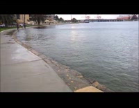 Man gets a fish from a dolphin 