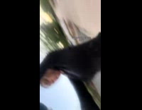 Woman running felt lizard crawling on her arm