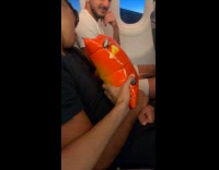 Man Turns Upside Down Twice Aired Bag of Chips