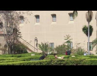 Brunette Lady Poses Next to Pushes on Knees 