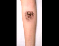 Beloved pet memories tribute tattoo on arm