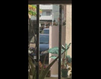 Straw hat painting mirror photo alley guy 