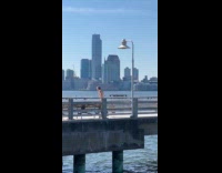 Shirtless guy dance and workout at bridge