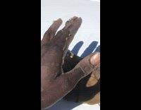 Peeled off whole palm skin on car