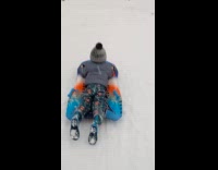 Kid sledding veered off into trees 