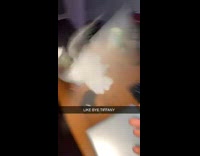 Collab BitchMP - Pigeon in room chased by owner flies around