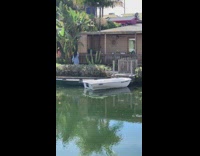 Girl skips Venice canals for video