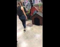 Girl steps on button dog scares her halloween decoration
