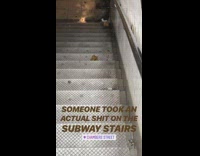 poop on subway stairs
