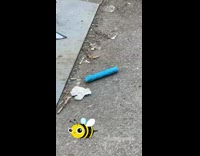 Blue toy on ground by rental bicycles 