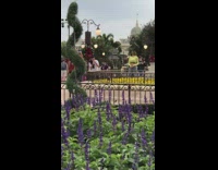 Neon green shirt girl poses disney world 