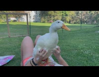 Woman on grass belly rub white duck