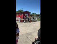 Girl yellow off shoulders black horse cage