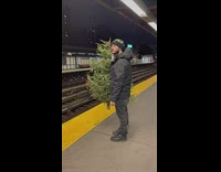 Man carries christmas tree in one hand