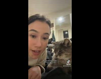 Woman gives grey cat kisses 