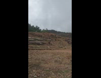 Man runs back naked to get his pants 