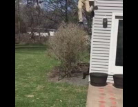 A kid is hanging off a light blue/grey house. As he jumps off his foot gets stuck on a lamp. His foot gets unstuck and he face plants on the ground and his body bends backwards. 
