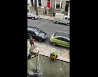 Collab DailyDoseOfInternet - Guy call parrot to balcony slowmo pet