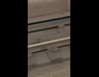 Rat Carries Dead Mouse on Train Tracks