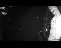 Spider thin legs crawl near security camera