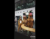 Friends welcome girl home in t rex costumes 