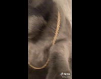 Girl makes ski mask for cat using sock 