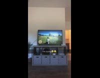 (3RD PARTY CONTENT) Red dead redemption bird flies into character falls game