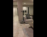 Collab BitchMP - Man pulls dog on bed treats to sleep