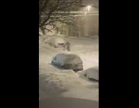 Collab IITW - Guy lay sit thick snow street night