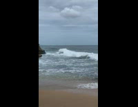 Two different women bikini pose on beach