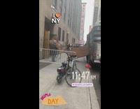 Camel walks out of trailer into building in new york city