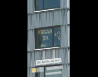 Gold balloons say marry me apartment window 