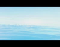 Pod of Dolphin swims on the ocean near the filmer