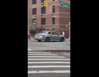 Brown dog sticks head out of car 