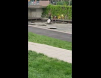 Two girls twerk yellow shorts empty fountain