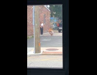 Girl black pants sit beside brick wall