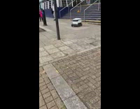 White food delivery robot runs into car