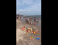 Fresh fruits all over the beach shore