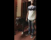 Guy flips water bottle upright shrugs dog