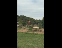 Guy printed onesie lean on railings hill