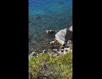 Woman orange bikini wet body photo shoot