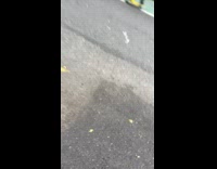 Rat ran towards woman on street 