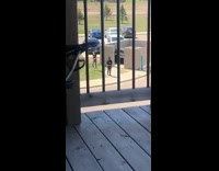 Collab IITW - Two girls climb wall martial arts outside.