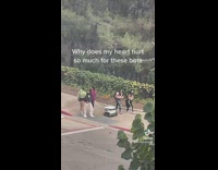Food delivery robot on sidewalk driving near crowd