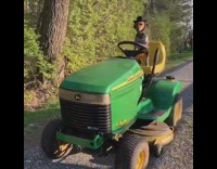 Brown dog drives green yellow tractor hat