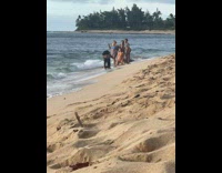 Women sexy bikini group photo beach interrupted
