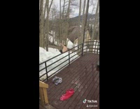 Two men get out of hot tub jacuzzi and jump into pile of snow over balcony